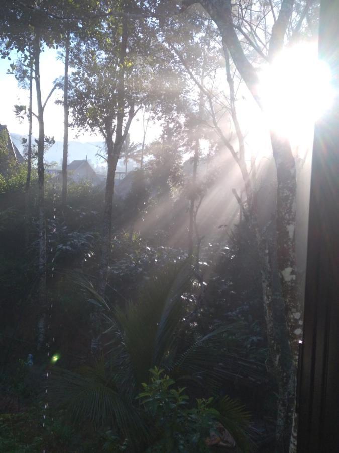 Winterhome Homestay Munnar Exteriör bild