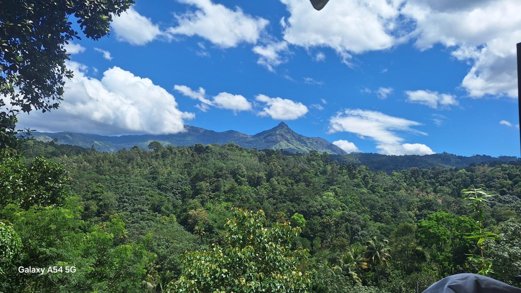Winterhome Homestay Munnar Rum bild